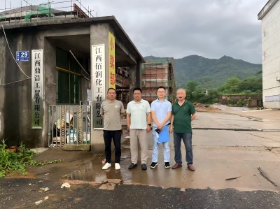 江西佰润化工有限公司年产10000吨磷酸系列产品和6000吨硫酸镁系列产品项目安全条件评价