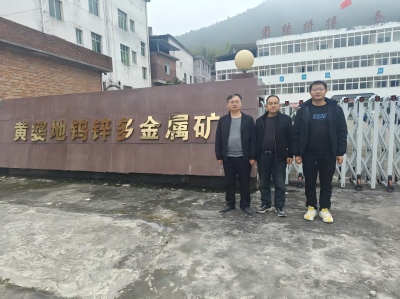 赣州世瑞钨业股份有限公司黄婆地钨锌多金属矿尾矿库改建工程安全预评价