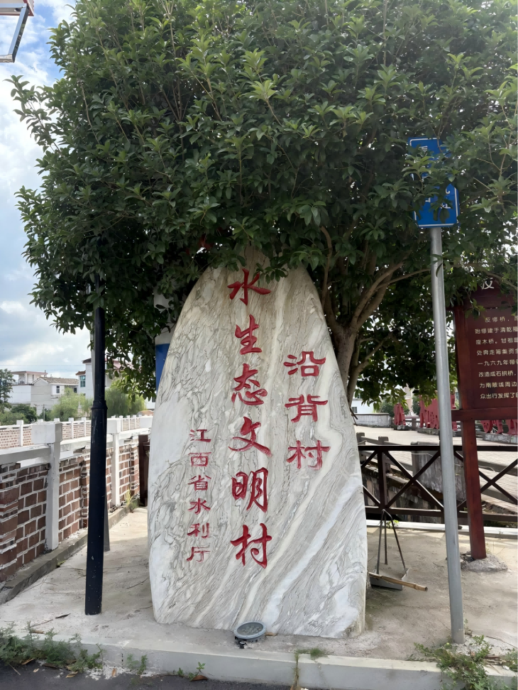 图片11(1).png